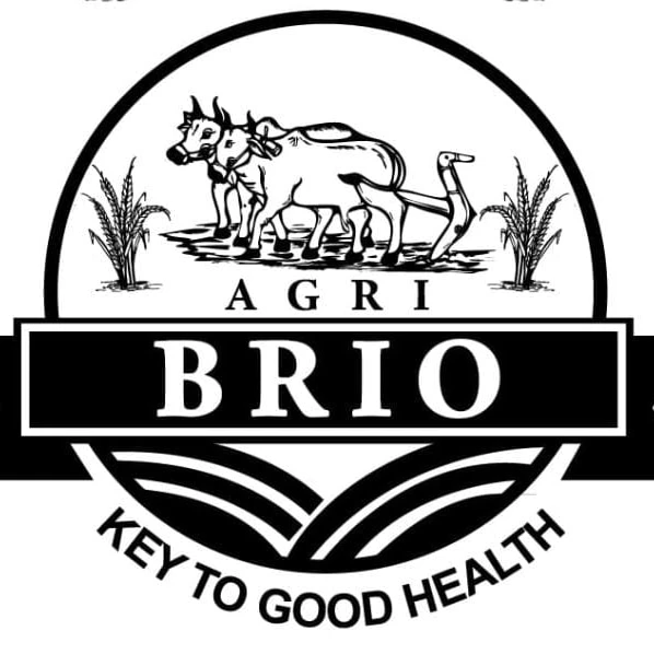 "Agri Brio logo featuring an illustration of two oxen plowing a field, flanked by crops on both sides. The word 'AGRI' appears above a bold black banner with the word 'BRIO' in white capital letters. Below the banner is the tagline 'Key to Good Health' in